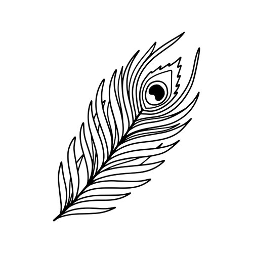 Påfuglefjer