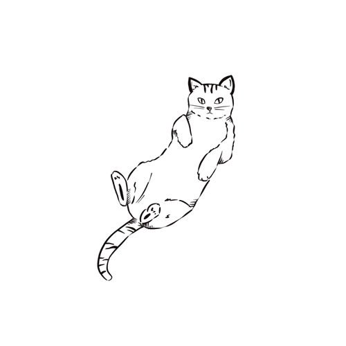 Minimalistisk kat
