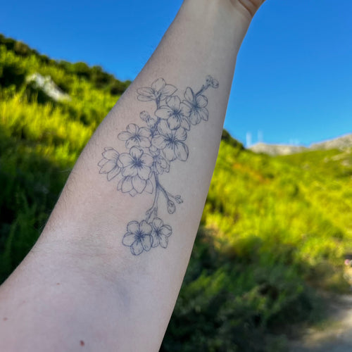 Kirsebærblomst
