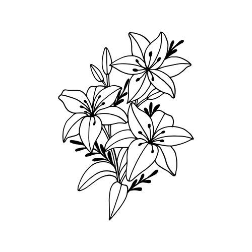 Lysglimt