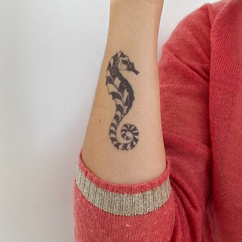 Hippocampus