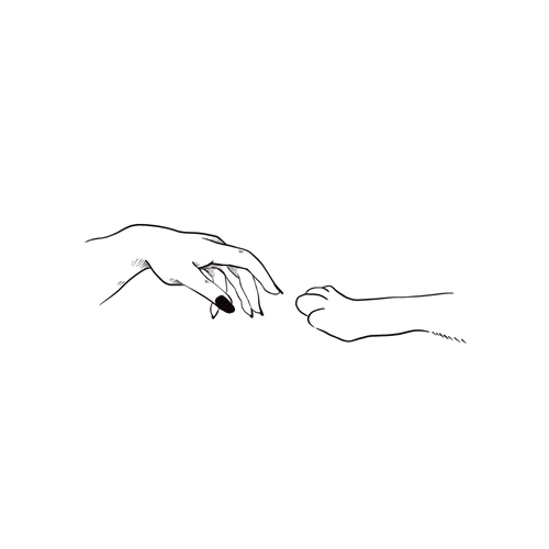Hundepote og -hånd