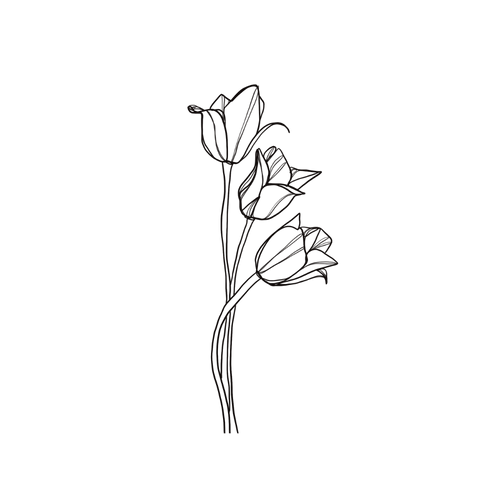 Tulipan-tatovering