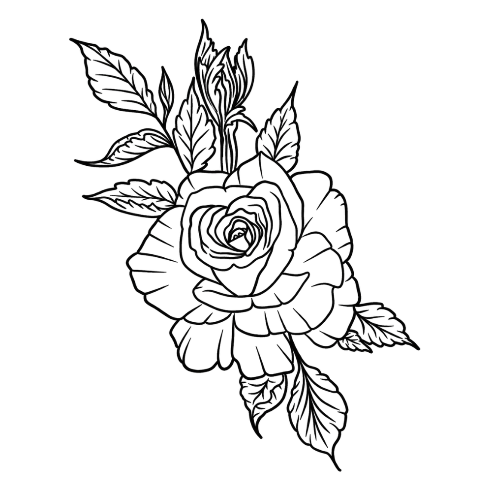 Evig rose