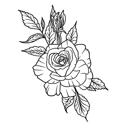 Evig rose