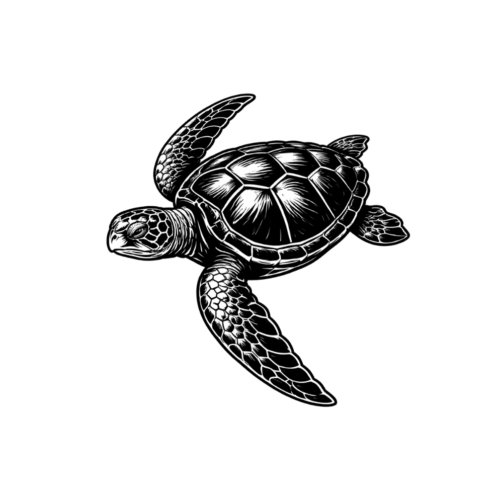 Tortue marine